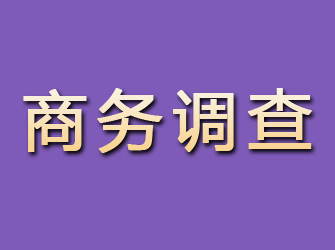 雨山商务调查